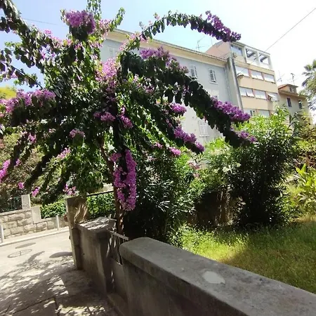 Bugenvilija Split